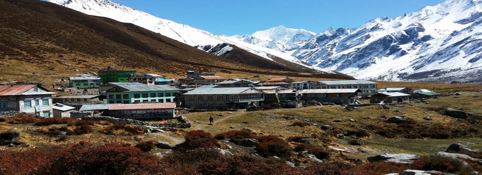 Langtang Region